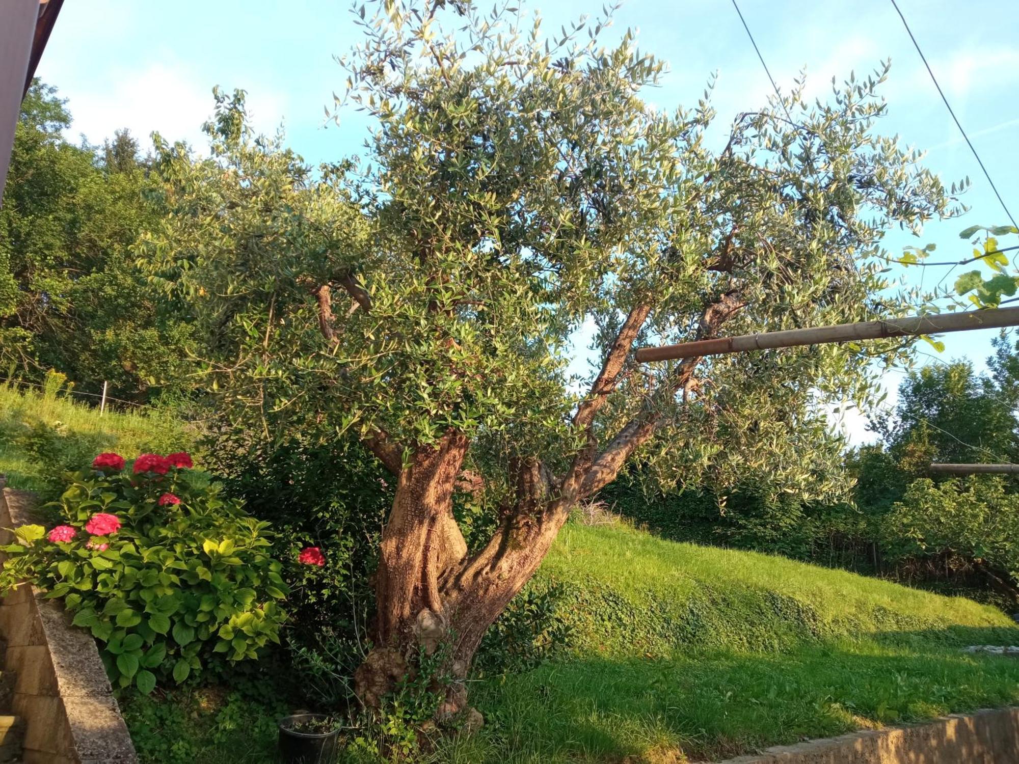 Bergamo Bnb Villa di Serio Exterior photo